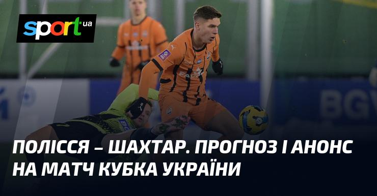 Полісся проти Шахтаря Донецька: Прогноз та анонс матчу в рамках Кубка України, який відбудеться 23 квітня 2025 року. Футбольні новини на СПОРТ.UA.