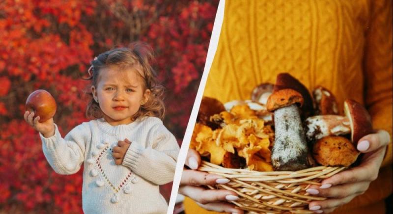 Чому варто обирати одяг у подарунок 15 листопада: традиції та застереження цього дня.