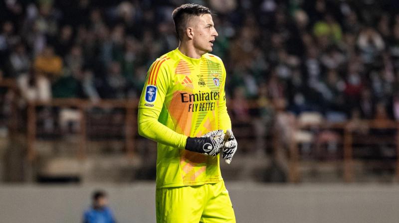 Скориставшись можливістю, яка трапляється в кар'єрі голкіпера, напевно, лише раз, Шовковський висловив своє бачення голу Трубіна.